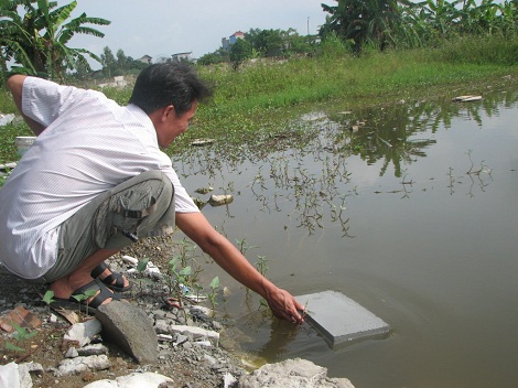 gạch nhẹ vật liệu tương lai 3